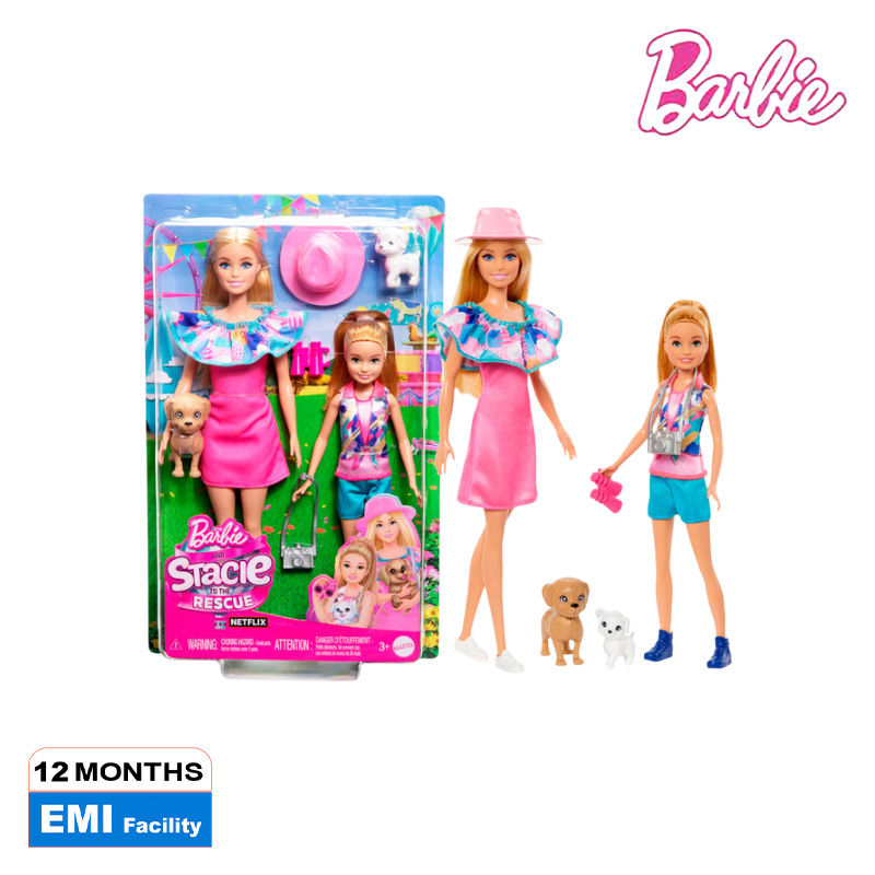 Picture of Barbie HRM09 Stacie Sister Doll Set With 2 Pet Dogs & Accessories