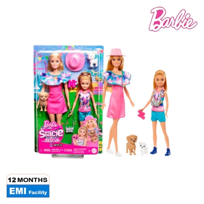 Picture of Barbie HRM09 Stacie Sister Doll Set With 2 Pet Dogs & Accessories