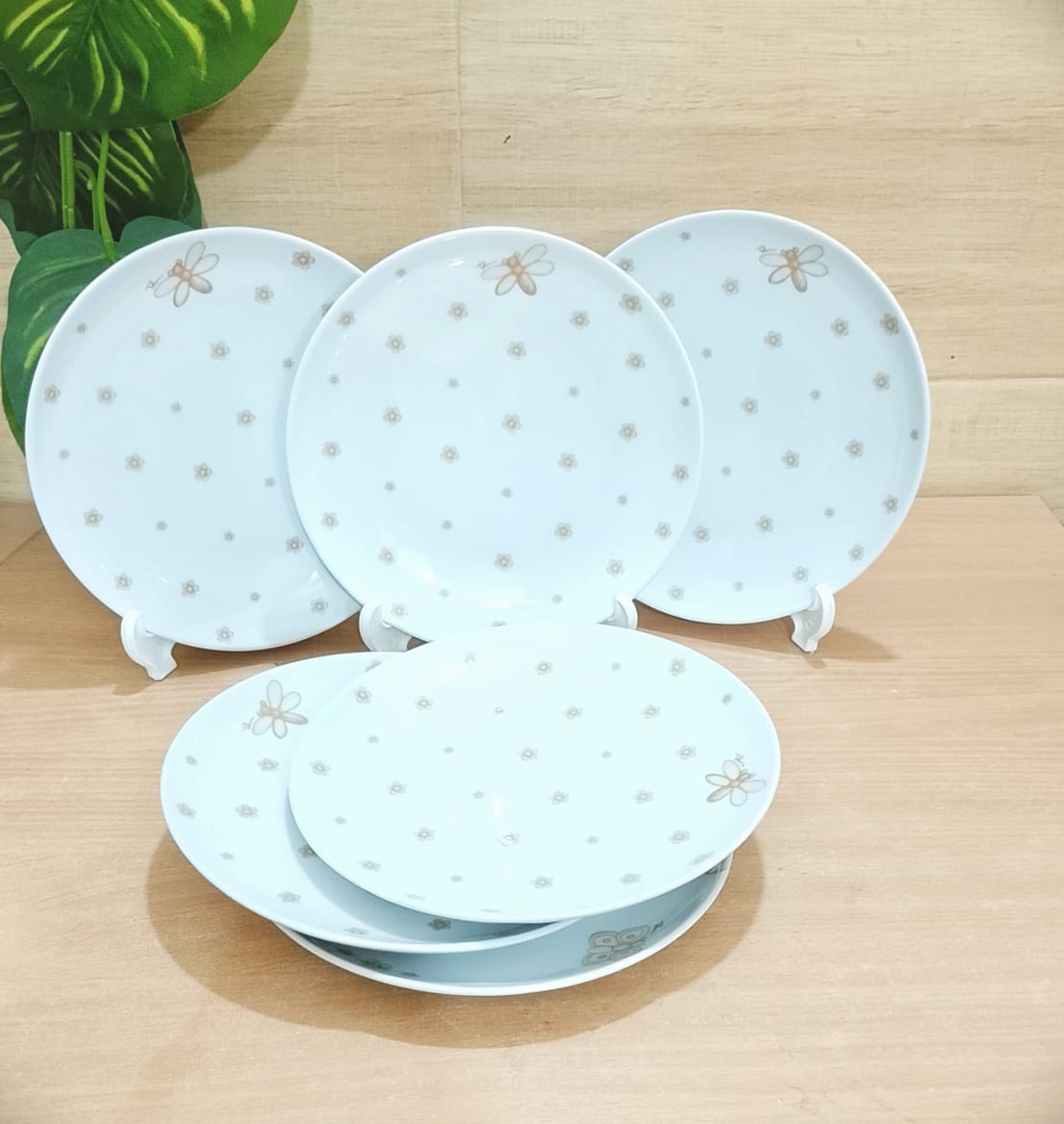 Picture of ceramis   plate 6 pieces  set