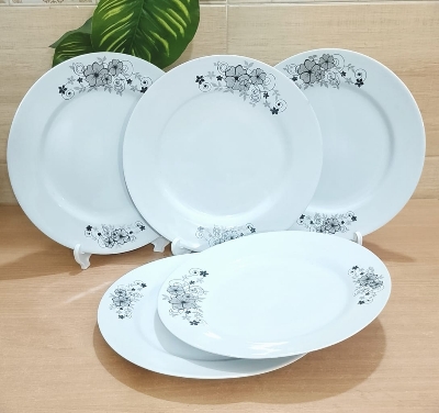 Picture of 11 inch dinner plate