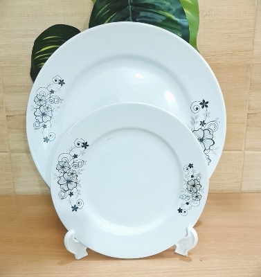Picture of 11 inch dinner plate