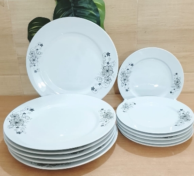 Picture of 11 inch dinner plate