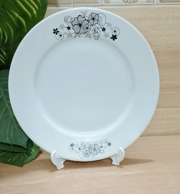 Picture of 11 inch dinner plate