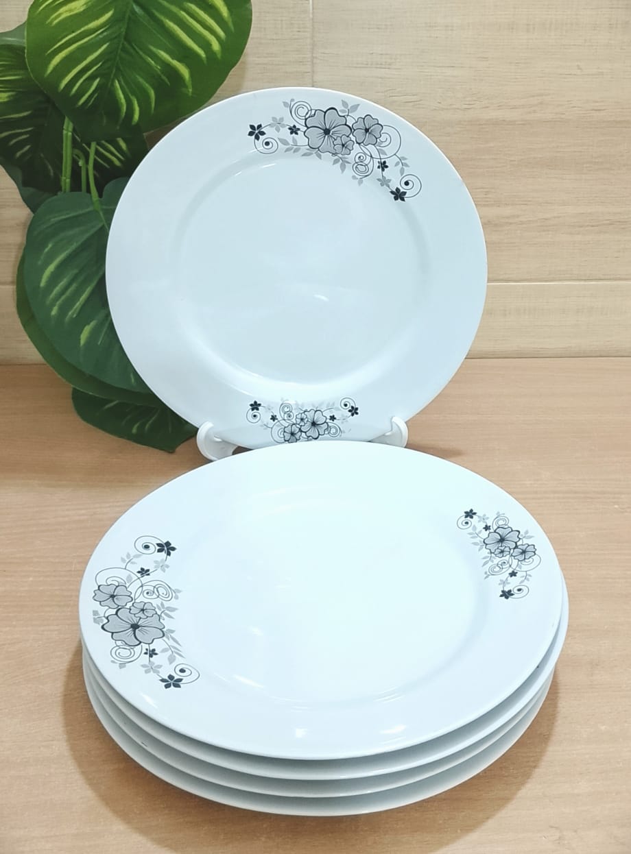 Picture of 11 inch dinner plate