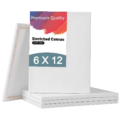 Picture of Papertree Premium Quality White Canvas 6X12 INCH