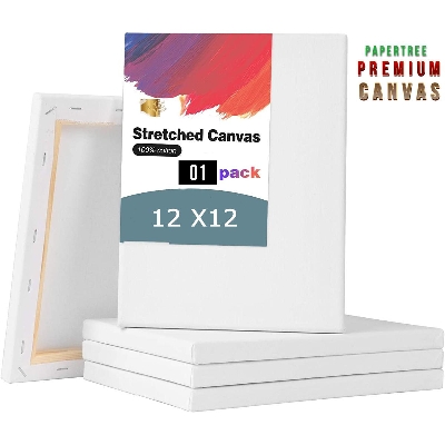 Picture of White Painting Premium Canvas 12/12 inch