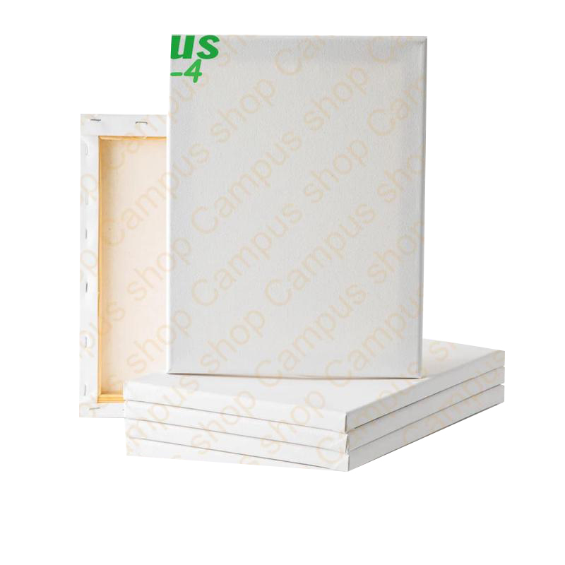 Picture of white canvas for artist