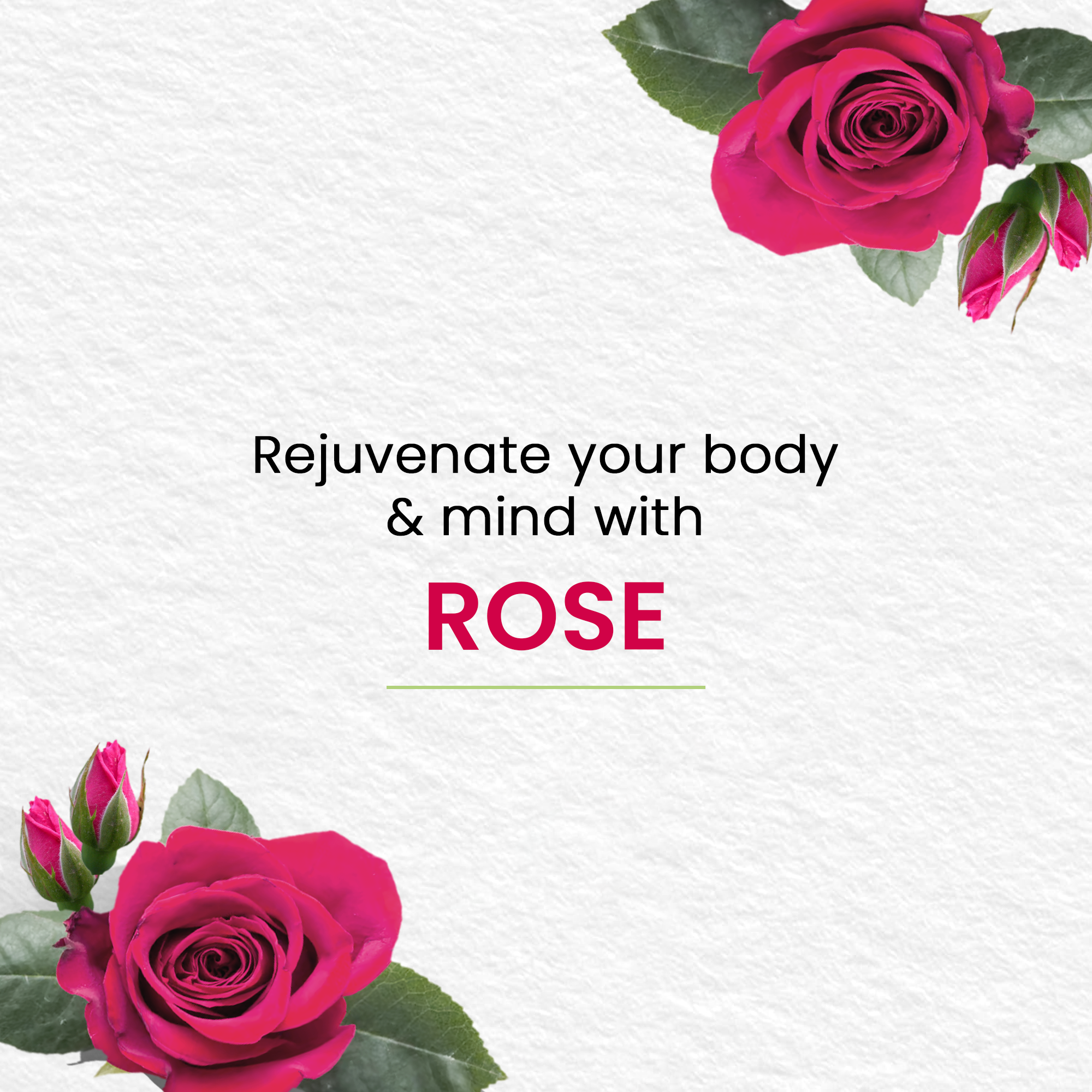 Picture of Himalaya Moisture Rich Rose Soap-100gm