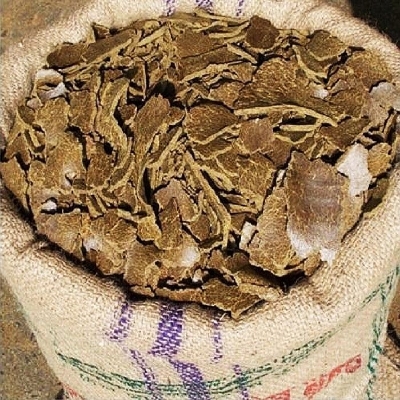 Picture of Mustard Cake Sorisha (Khoil)- 1kg (Best Quality)