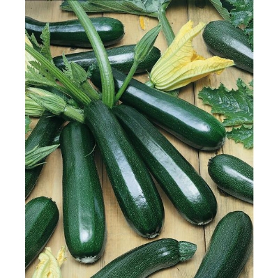 Picture of Golobal Rare Garden Zucchini Squash Seeds - 5 Pcs Seeds Paket