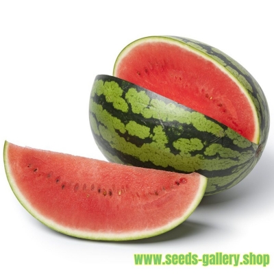 Picture of Global Sweet Lazy King Watermelon Seeds -10 Pcs Seeds