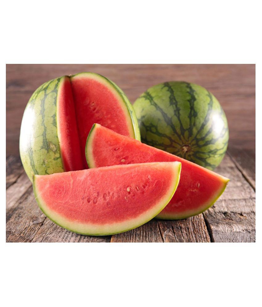Picture of Global Sweet Lazy King Watermelon Seeds -10 Pcs Seeds