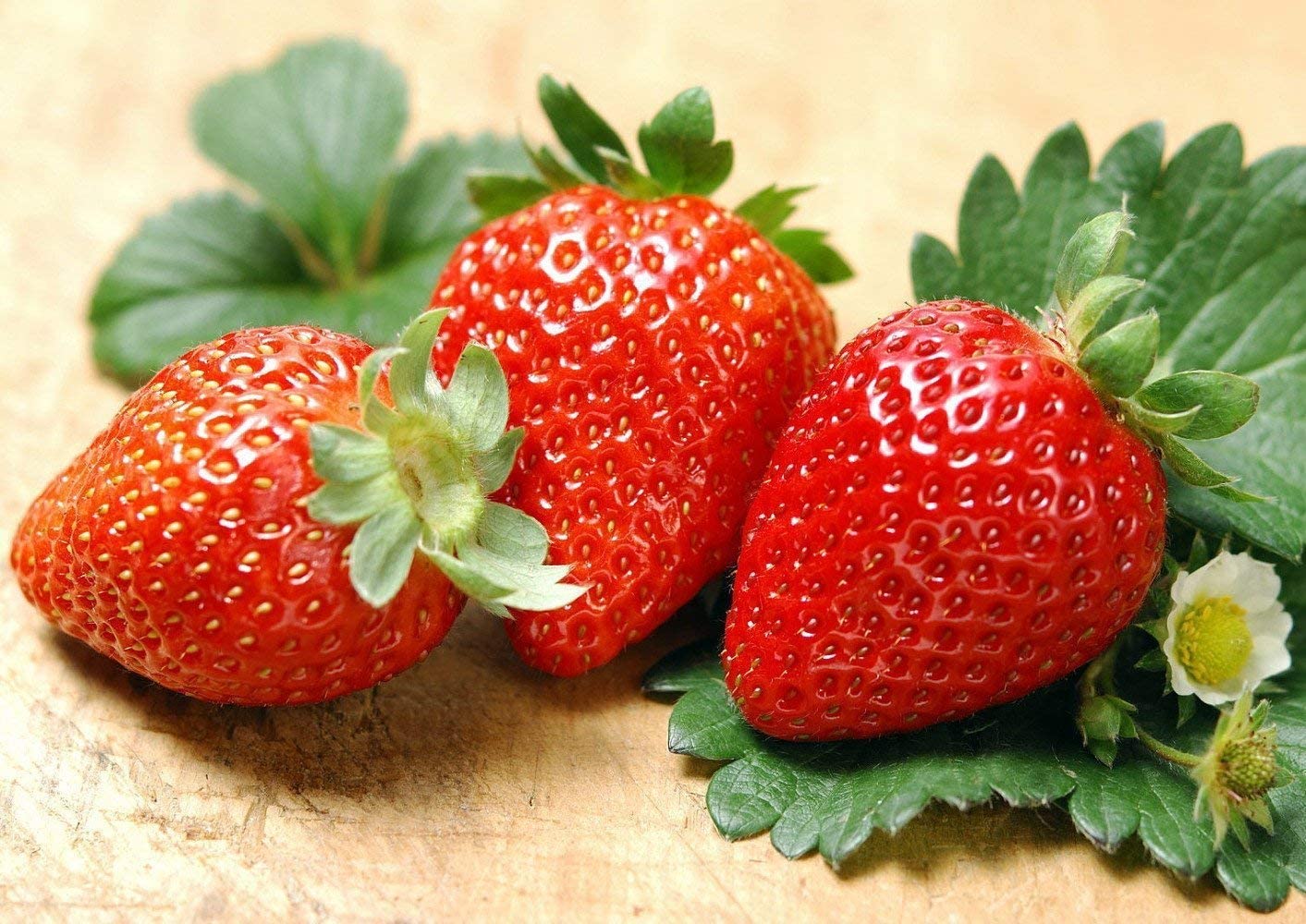 Picture of All Season Giant 30 Pcs Red SweetStrawberry Seeds - 30 Pcs Seeds