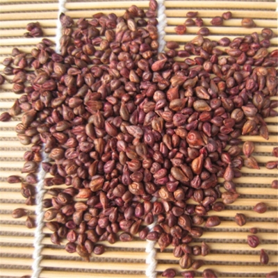 Picture of Egrow 15 Pcs/Pack Sweet Finger Grape Seed Garden Planting Potted Fruit Grapes Plant-15Pcs Seeds