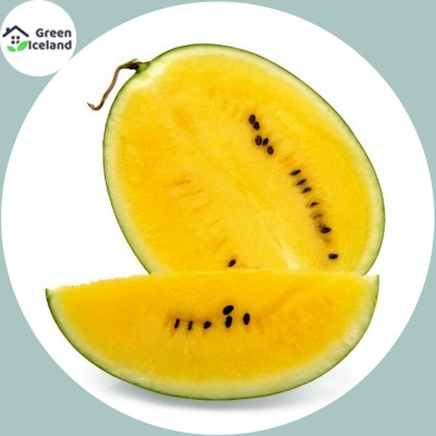 Picture of Rare Huangxiao Fu small yellow watermelon bonsai Seeds 10 pcs healthy vegetable bonsais- 10Pcs seeds