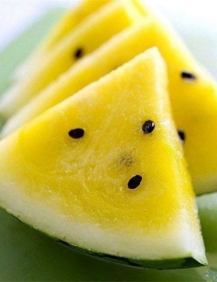 Picture of Rare Huangxiao Fu small yellow watermelon bonsai Seeds 10 pcs healthy vegetable bonsais- 10Pcs seeds