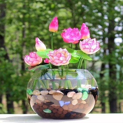 Picture of 3 Pcs - Global Lotus flower for summer Bowl lotus pots Bonsai garden plantsS