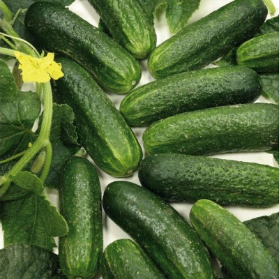 Picture of 20 Pcs Organic Cucumber Seeds Paket