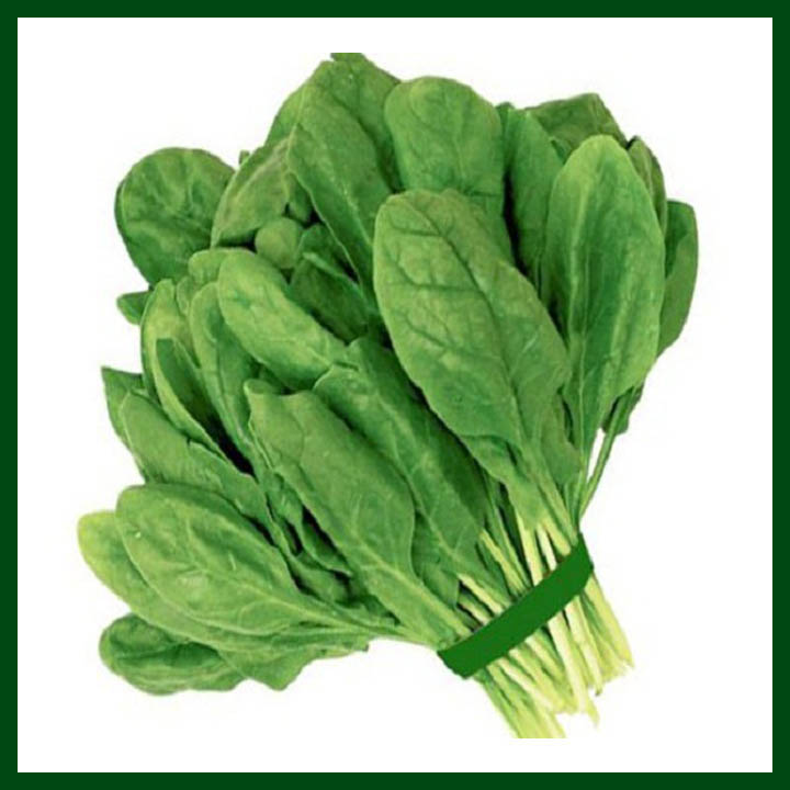Picture of Spinach / Palong Vegitable Seeds - 50 Pcs Seeds
