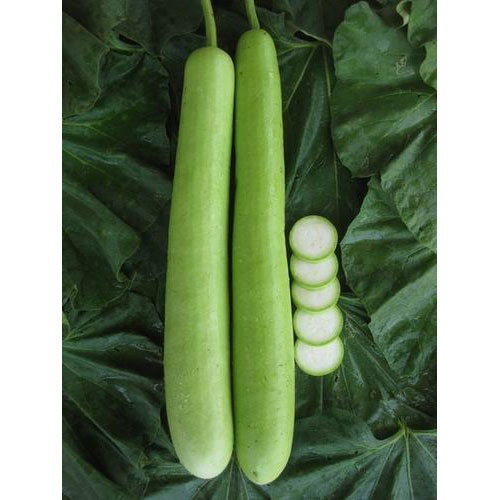 Picture of 10 Pcs Hybrid  Long Lau Seeds - 10 Pcs Seeds