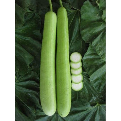 Picture of 10 Pcs Hybrid  Long Lau Seeds - 10 Pcs Seeds