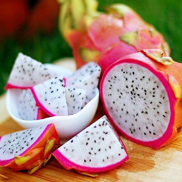 Picture of Bonsai Pitaya fruit tree plants Seed-25 Pcs seeds