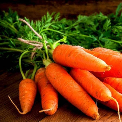 Picture of All Season Deshi Organic Carrot Seeds  - 50 Pcs Seeds