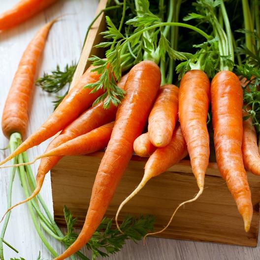 Picture of All Season Deshi Organic Carrot Seeds  - 50 Pcs Seeds