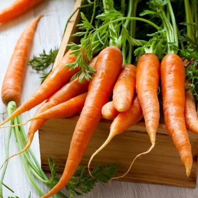Picture of All Season Deshi Organic Carrot Seeds  - 50 Pcs Seeds