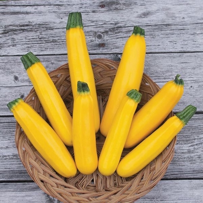 Picture of Rare Organic Garden Gold Squash Seeds - 10 Pcs Seeds