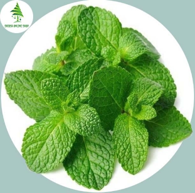 Picture of 30 Pcs Global Pudina / Mint Tree Seeds ( all season )