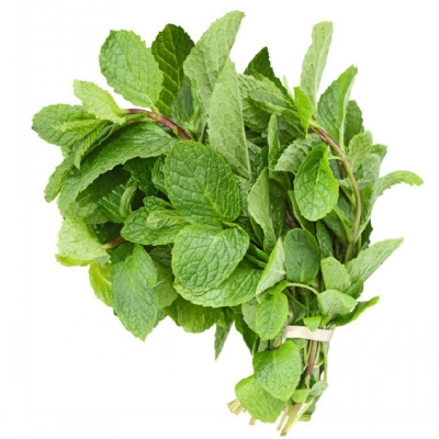 Picture of (All Season) Pudina/Mint Seeds (Seeds) - 30+ Pcs Seeds Paket