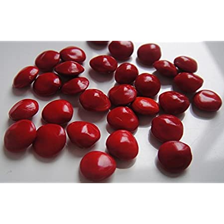 Picture of Blood Sandalwood Rare Tree Seeds  - 5 Pcs Seeds (Imported Global Seeds)