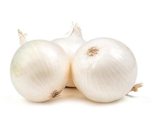 Picture of White Onion Tree Imported Global Seeds -100 Pcs Seeds