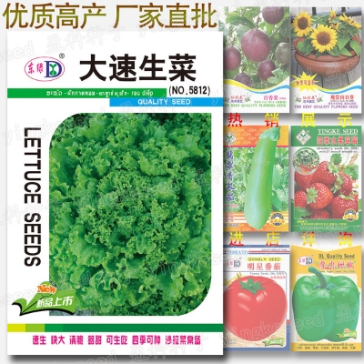 Picture of Lettuce Seeds Salad Vegetables Four Seasons Fast-Growing Vegetable Seeds 200 grain Seeds (Intec Packet)