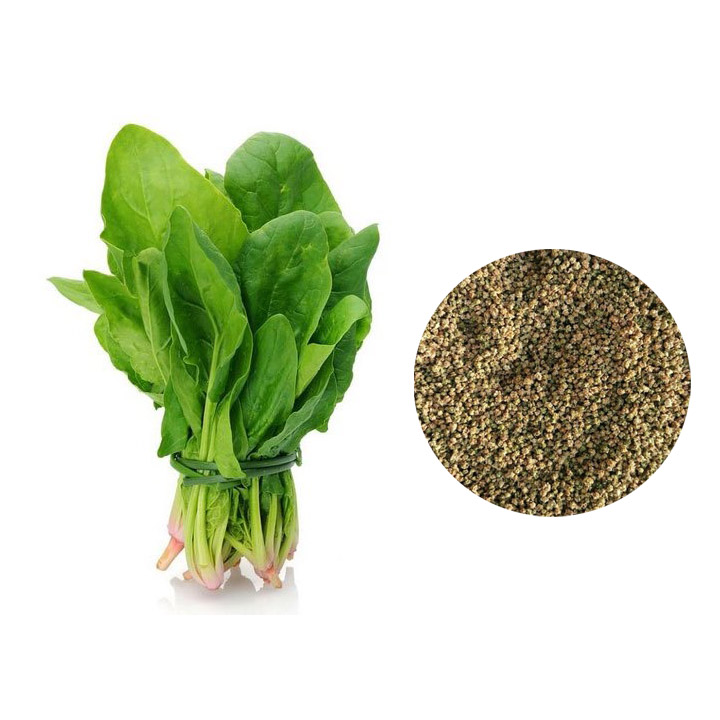 Picture of Product details of Palong Spinach Seeds  - 100 Pieces(intact packet)