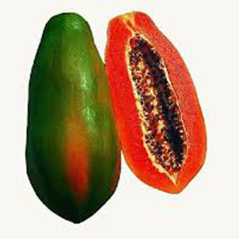 Picture of Papaya Seeds  - 10 Pieces (intact packet)