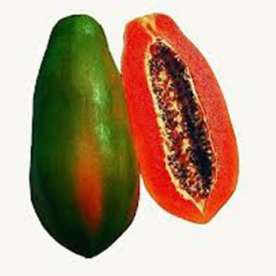 Picture of Papaya Seeds  - 10 Pieces (intact packet)