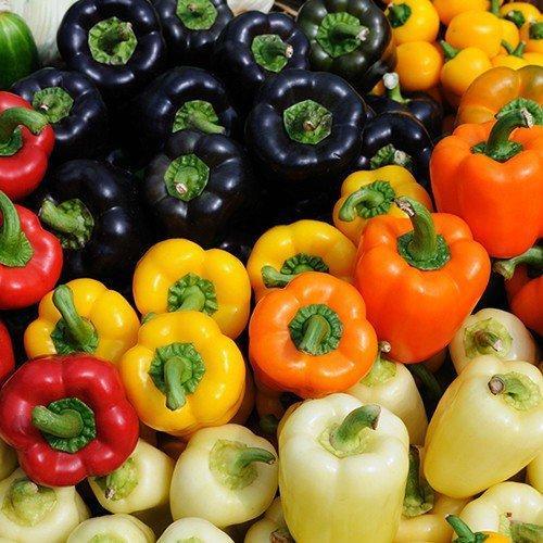 Picture of Capsicum Green/Red Mix Seed -10 Seeds