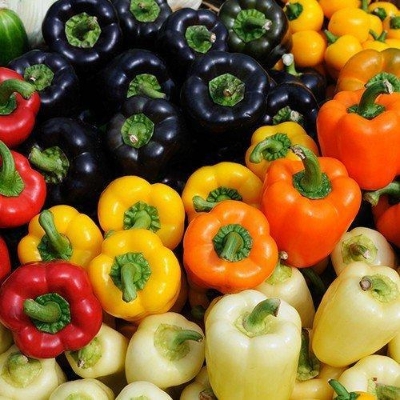 Picture of Capsicum Green/Red Mix Seed -10 Seeds