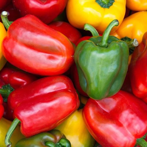 Picture of Capsicum Green/Red Mix Seed -10 Seeds