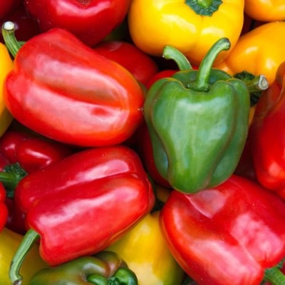 Picture of Capsicum Green/Red Mix Seed -10 Seeds