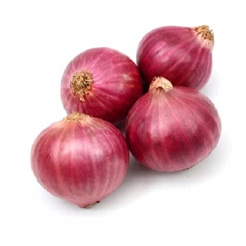 Picture of Onion Star Zblack Seed - 50 Pcs  Imroved Quality Seeds Outdoor sowing Package Contents:Seed Pack Organic quality, hybrid quality (seeds may treated with thiram to maintain good germination but seeds are not harmful you can use this seeds for sowing purpos
