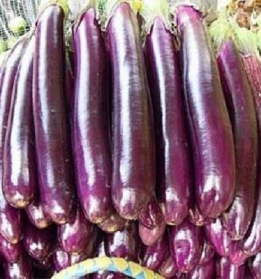 Picture of 15pieces Eggplant Seeds3