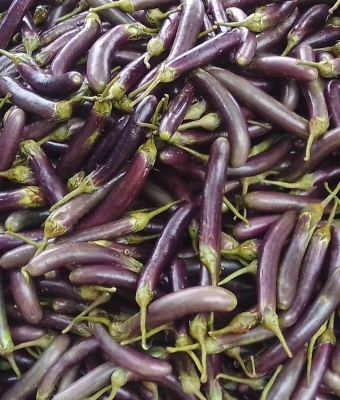 Picture of 15pieces Eggplant Seeds3