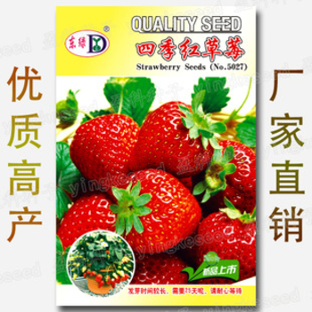 Picture of Climbing Red Strawberry Four Season Fruits Organic- 100 Pcs Intake Paket Seeds