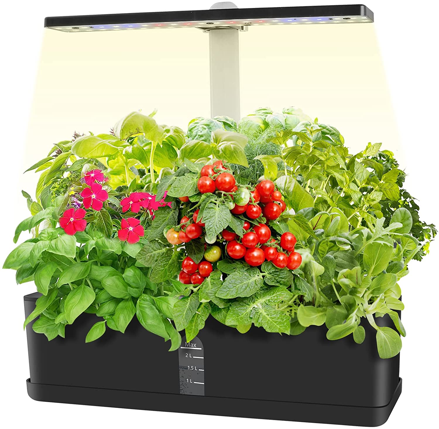 Picture of Bigin Indoor 10 Pcs Herb Hydroponics Plants Seeds Garden- 10Pcs seeds  Product Type:Bonsai Type: Blooming Plants Size:Medium Flowerpot:Excluded Cultivating Difficulty Degree:Very Easy Style:Perennial Climate: Temperate Brand Name:None Function: Beautifyin