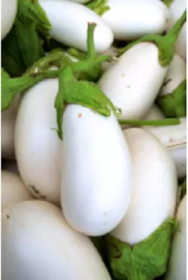 Picture of (White Egg Brinjal)15pcs Seeds/
