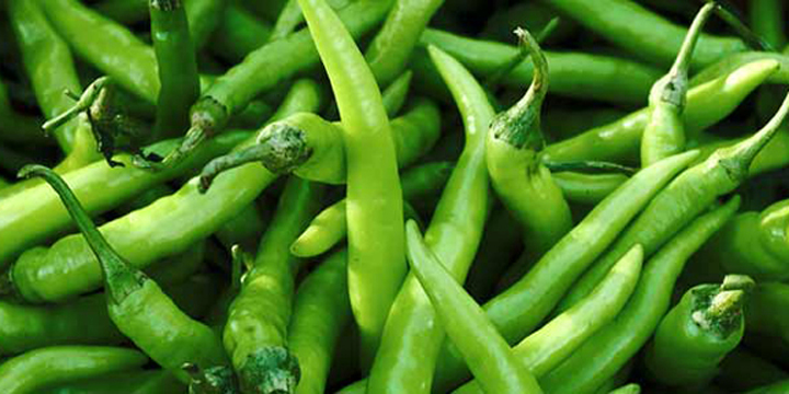 Picture of Green Chilly Seeds-25pcs Seeds  Product Type: Local Cultivating Difficulty Degree:Very Easy Flowerpot:Excluded Classification:Novel Plant Type:Courtyard Plant Function:Beautifying Size:Medium Style:Perennial Full-bloom Period:Spring Applicable Constellat