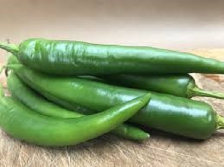 Picture of Green Chilly Seeds-25pcs Seeds  Product Type: Local Cultivating Difficulty Degree:Very Easy Flowerpot:Excluded Classification:Novel Plant Type:Courtyard Plant Function:Beautifying Size:Medium Style:Perennial Full-bloom Period:Spring Applicable Constellat